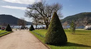 Image of F2 SUR LES HAUTEURS DE GERARDMER