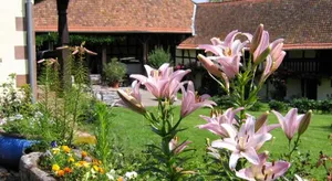 Image of Le gîte des écureuils