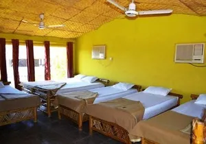 Image of Hotel Kanha (Treasure In Forest)