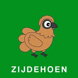 Image of ut Hen Hoes