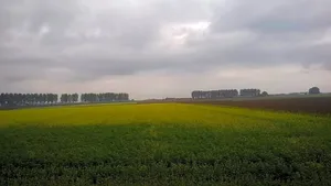 Image of Het Zeeuwsverblijf