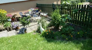 Image of Blumenwiese