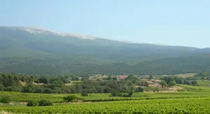 Image of 40 Rue du Ventoux