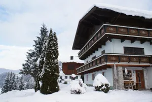 Image of Pension Chalet Bergseegut