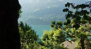 Image of Ferienwohnung