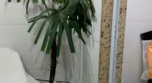Image of Apartamento dois quartos perto da praia em Jardim Camburi