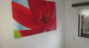 Image of Huisje Weltevree (nummer 95)