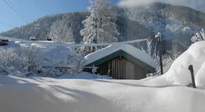 Image of Amsel Haus