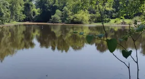 Image of Tentrr - Meadow Escape at CATHIS Farm