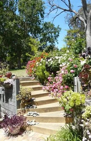 Image of Tiers View Bed and Breakfast Accommodation