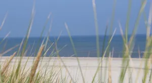 Image of Dünenglück