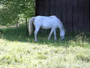 Image of La Fermette Blanche