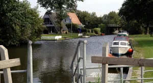 Image of Seemöwe