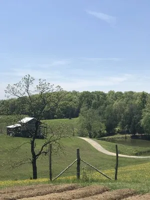 Image of Spring Creek Place Cabins