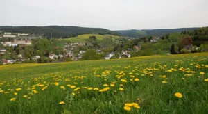 Image of Ferienwohnung Körnerberg