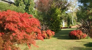 Image of Delderfield Villas