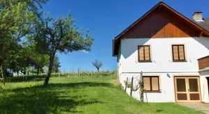 Image of Urlaub im Weingarten