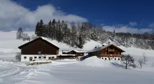 Image of Ferienhaus Mittersill am Biohof Widholz