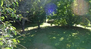Image of Cottage near DISNEYLAND PARIS