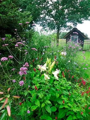 Image of Klein Vreugderijk