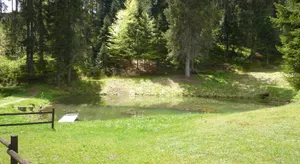 Image of Appartment Leo