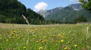 Image of Ferienwohnung Mostecky