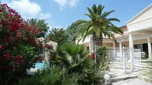 Image of Les Cigalous