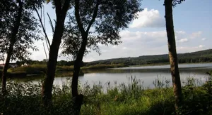 Image of Ferienwohnung in der Vulkaneifel
