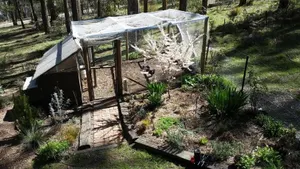 Image of MannaGum Alpine Lodge