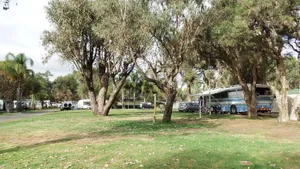 Image of Australind Tourist Park