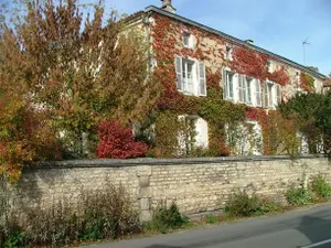 Image of La Belle Charmeuse