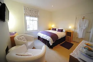 Image of The Lilac Door