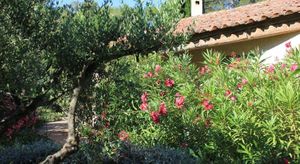 Image of Le BAOU