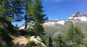 Image of B&B Haus Granit Saas Grund