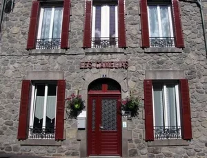 Image of Les Camélias