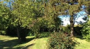 Image of Gite a la campagne