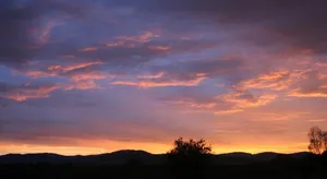 Image of Les terres