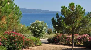 Image of T2 - sanguinaires - Superbe vue mer - proche centre ville