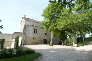 Image of Chateau de Pleneselve
