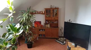 Image of Ferienwohnung Blütenstadt Werder-Havel