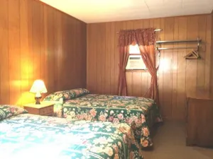 Image of The Gold Eagle