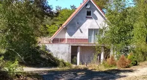 Image of Het krekeltje