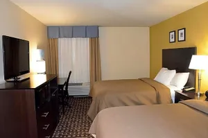 Image of Spark by Hilton Minot