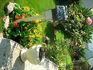 Image of Les Hydrangeas