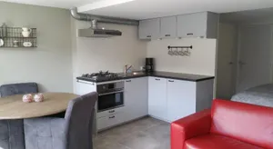 Image of Tussen strand en duin