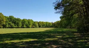 Image of Knusse Bungalow Otterlo Veluwe