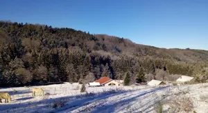 Image of La Hutte