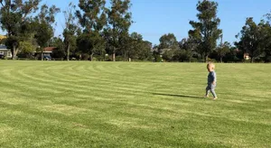 Image of Lazy Days Caravan Park
