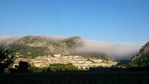 Image of Camping l'Olivier *** - Chalet Eco 2 bedrooms 4 people