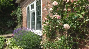 Image of No11